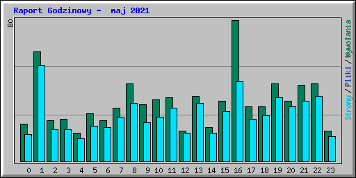 Raport Godzinowy -  maj 2021