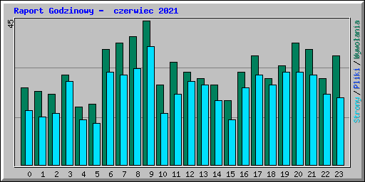 Raport Godzinowy -  czerwiec 2021