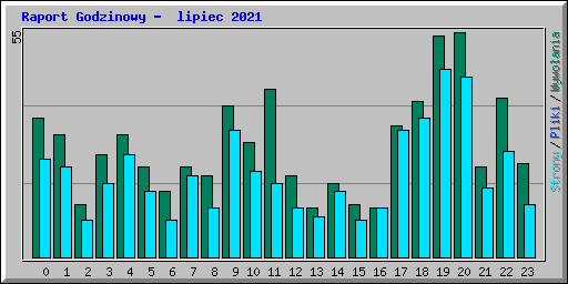 Raport Godzinowy -  lipiec 2021