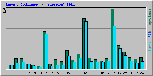 Raport Godzinowy -  sierpie 2021