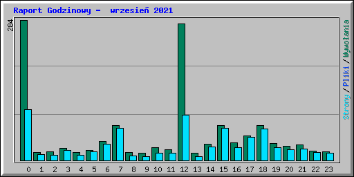 Raport Godzinowy -  wrzesie 2021