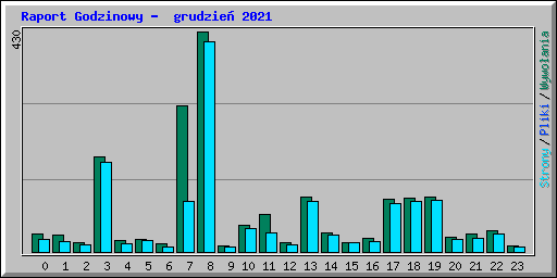 Raport Godzinowy -  grudzie 2021