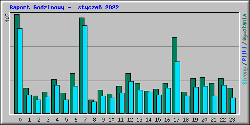 Raport Godzinowy -  stycze 2022